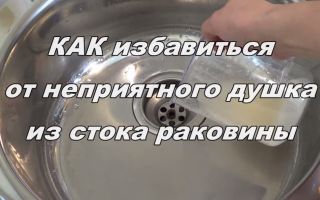 Запах из раковины на кухне — как устранить и не допустить возвращения