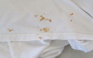 Чем и как удалить ржавые пятна с одежды