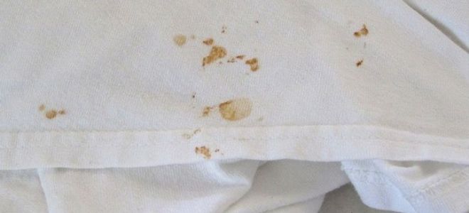 Чем и как удалить ржавые пятна с одежды