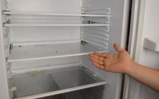 Как убрать запах плесени из холодильника